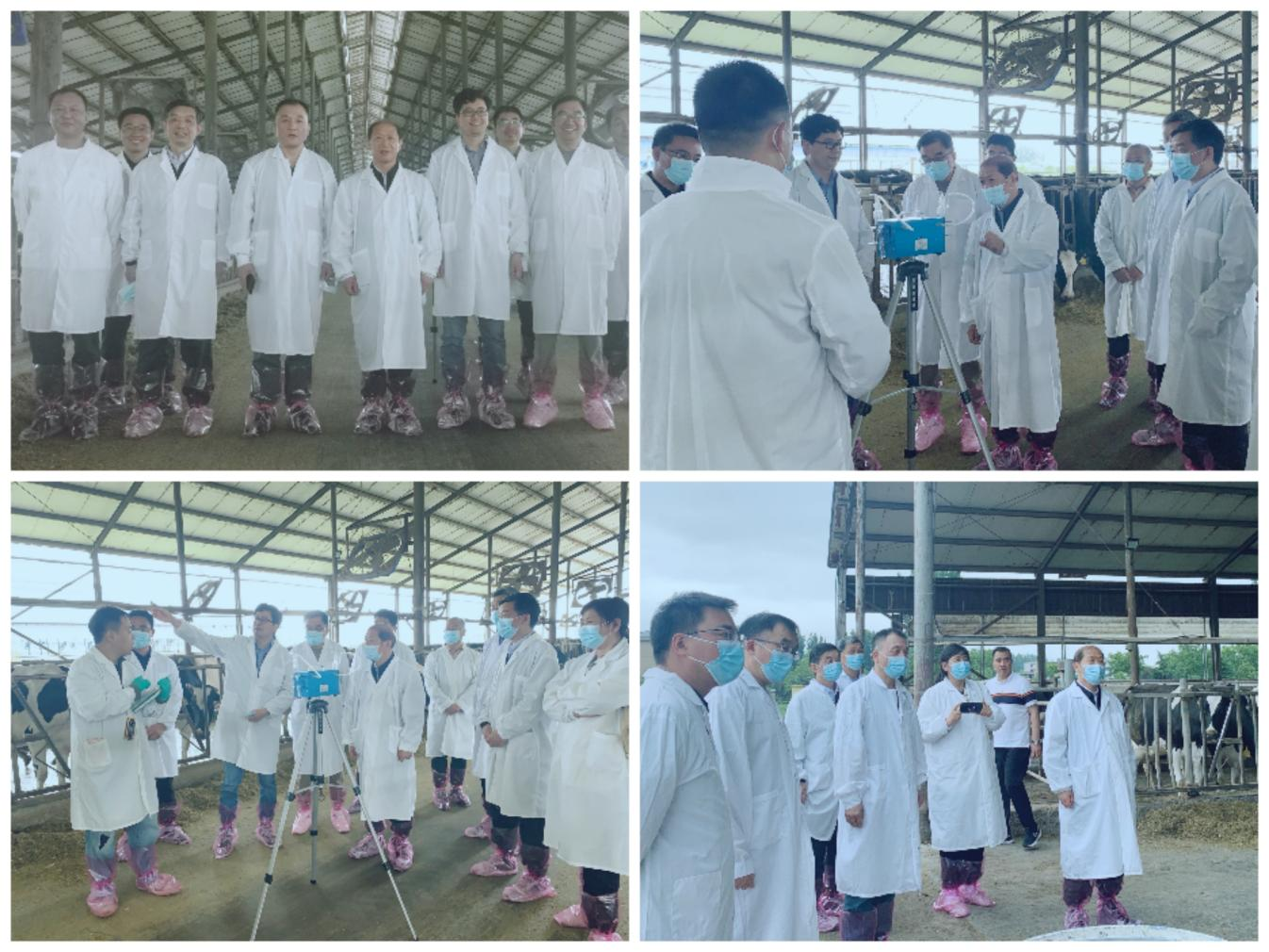 花花牛丨河南農(nóng)業(yè)大學(xué)黨委副書記、校長介曉磊一行蒞臨花花牛河南瑞亞參觀調(diào)研