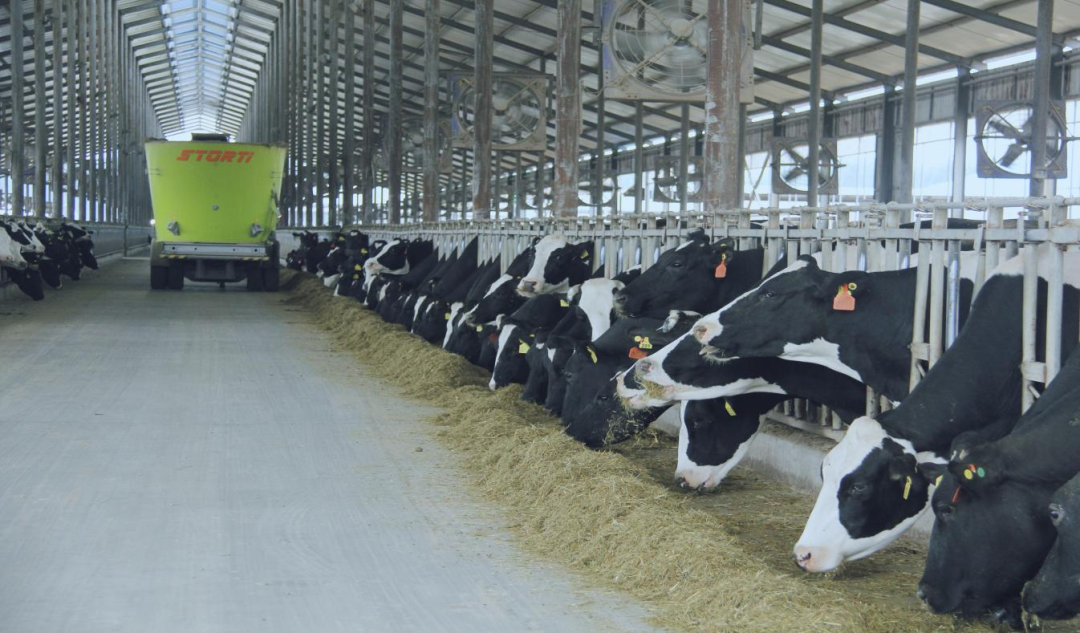 北京大學(xué)南南合作與發(fā)展學(xué)院教授、全球伙伴關(guān)系主任周詠梅一行蒞臨花花牛平輿瑞亞牧業(yè)參觀調(diào)研