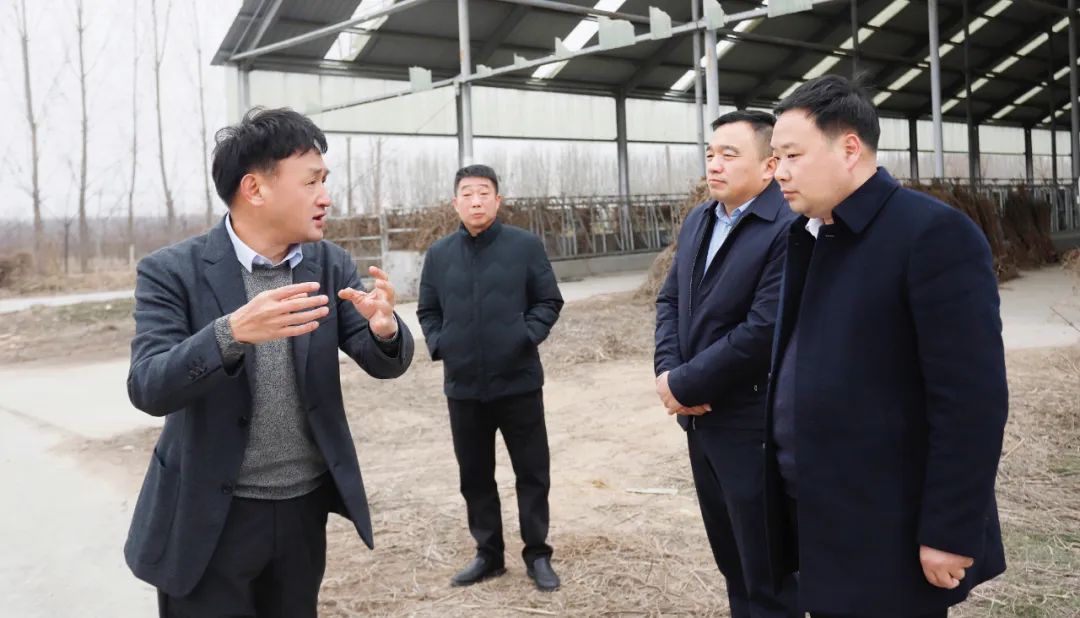 發(fā)揮產(chǎn)業(yè)優(yōu)勢 助力鄉(xiāng)村振興 | 民權(quán)縣委副書記、縣長王靜嫻會見關(guān)曉彥董事長一行