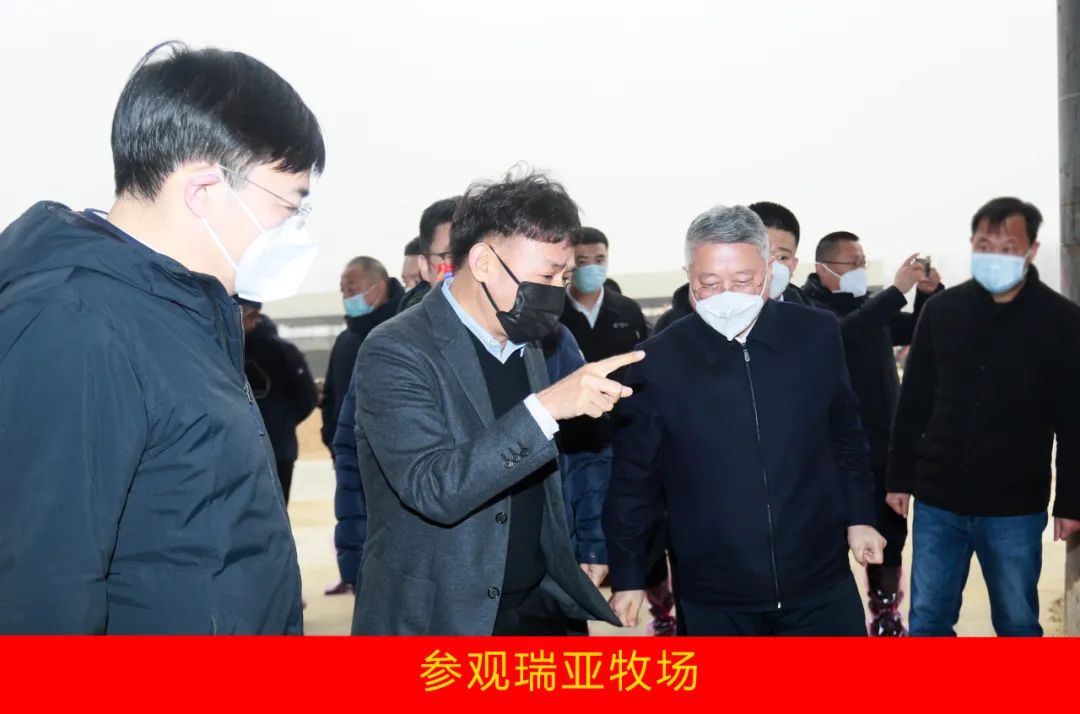 新年開新局 合作促發(fā)展丨佳木斯市委常委、副市長閆志剛一行蒞臨花花牛乳業(yè)集團及佳田企業(yè)考察座談