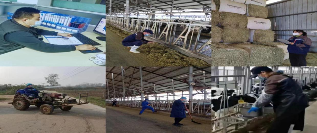 @全體花花牛人：請珍惜你的崗位，請善待我們共同的“花花?！保? style=