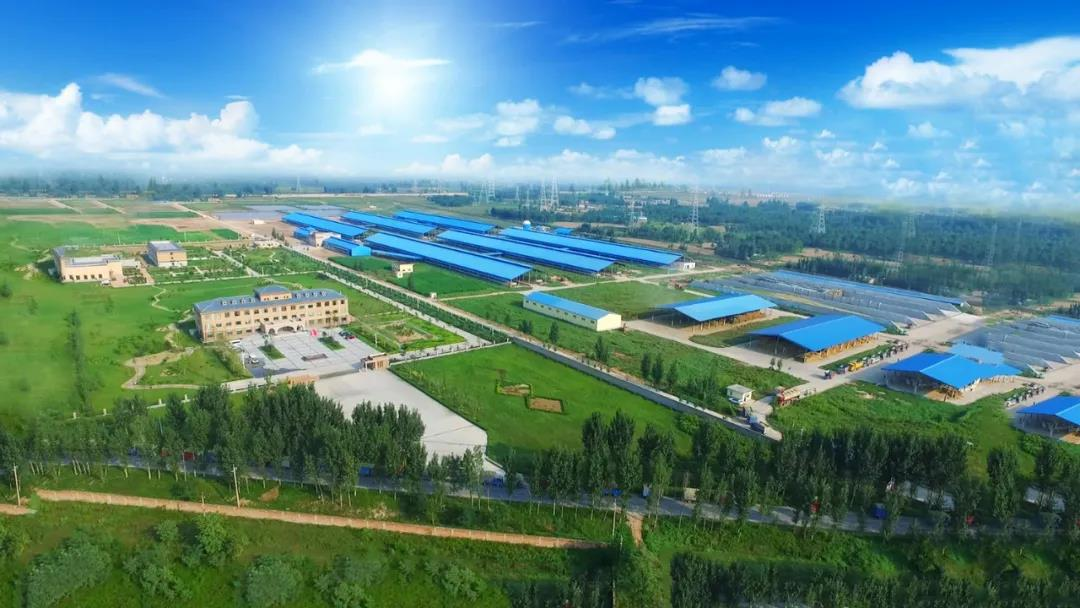 喜訊 | 花花牛一座自有牧場(chǎng)入選河南省“DHI測(cè)定優(yōu)秀牧場(chǎng)”