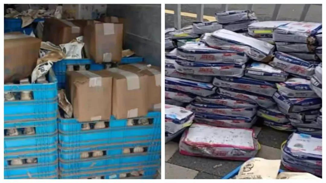 【乳報(bào)·聚焦】“豫”難而上的中原牛人“太中了”！