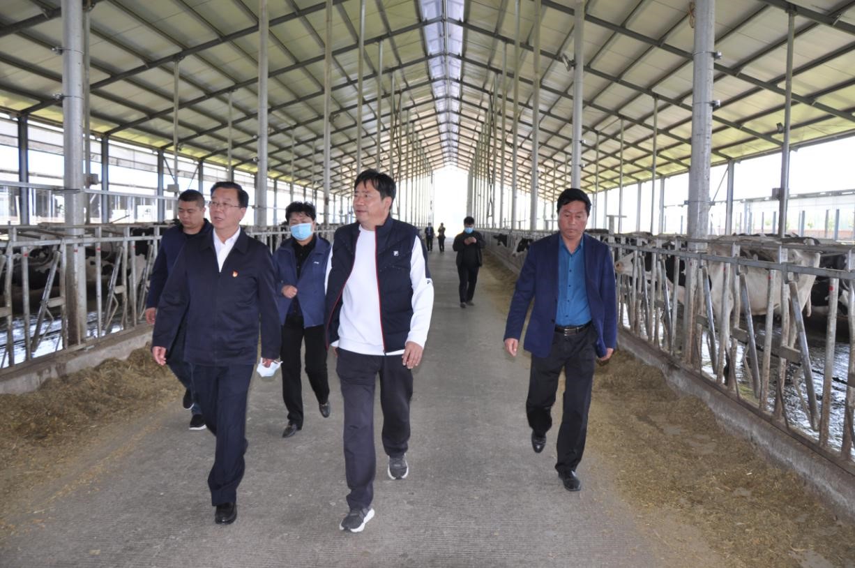 商丘市委常委、宣傳部部長王全周一行蒞臨睢縣瑞亞牧業(yè)有限公司調研