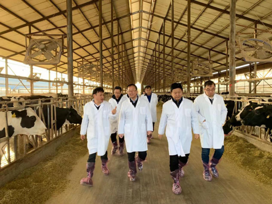 寧夏回族自治區(qū)農(nóng)業(yè)農(nóng)村廳黨組書記、廳長王剛一行蒞臨花花牛乳業(yè)集團(tuán)調(diào)研