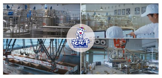 榮獲全國“質(zhì)量月”五項(xiàng)大獎(jiǎng)，花花牛真牛！