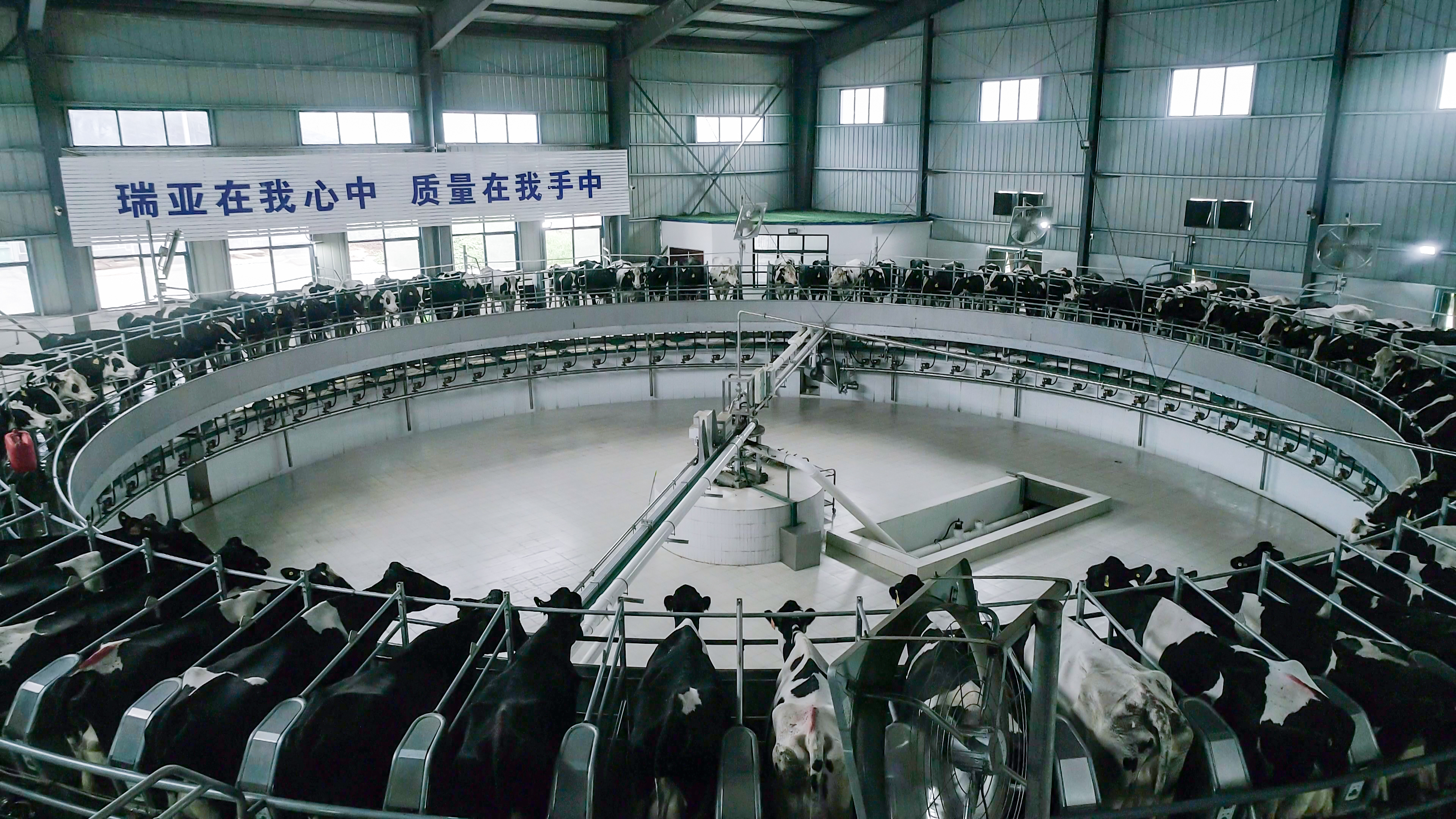 河南省委常委、組織部部長孔昌生 蒞臨河南花花牛集團(tuán)魯山瑞亞牧業(yè)有限公司調(diào)研