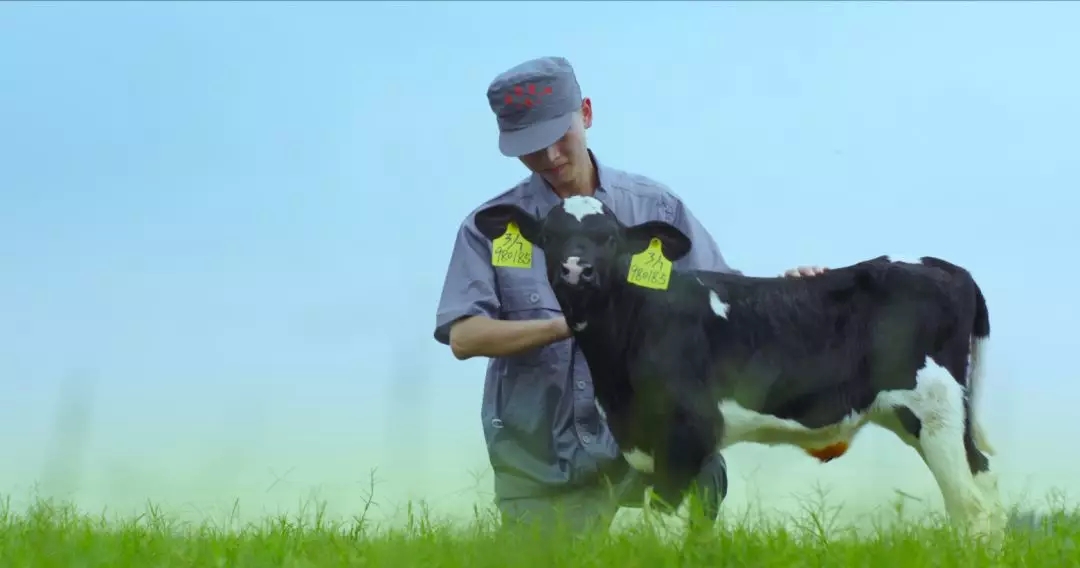 喜報(bào) | 國(guó)家市場(chǎng)監(jiān)管總局抽檢，花花牛等112家企業(yè)乳品抽檢全部合格