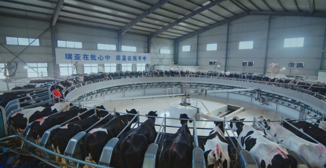 花花牛集團旗下六家公司入選省農(nóng)業(yè)產(chǎn)業(yè)化重點龍頭企業(yè)名單