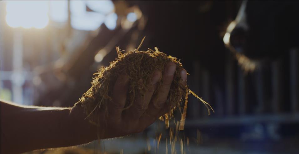 又雙叒叕獲獎(jiǎng)啦！花花牛榮獲“乳品質(zhì)量安全管理 優(yōu)秀企業(yè)”