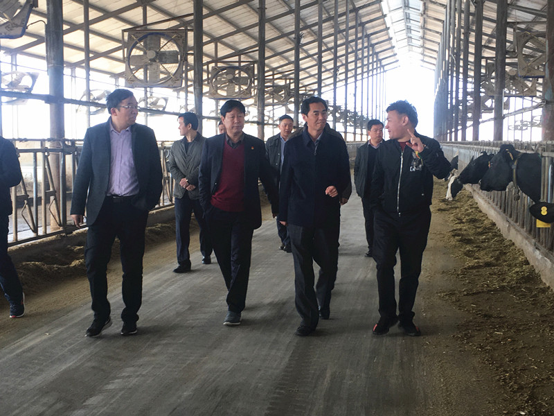 封丘縣縣長(zhǎng)王獻(xiàn)臣一行蒞臨 花花牛集團(tuán)養(yǎng)殖、乳品事業(yè)部參觀調(diào)研