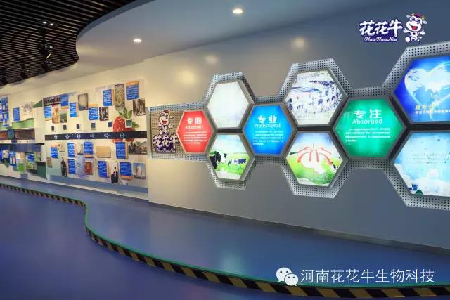 花花牛：務(wù)實(shí)、創(chuàng)新領(lǐng)潮市場 大企業(yè)體現(xiàn)大擔(dān)當(dāng)