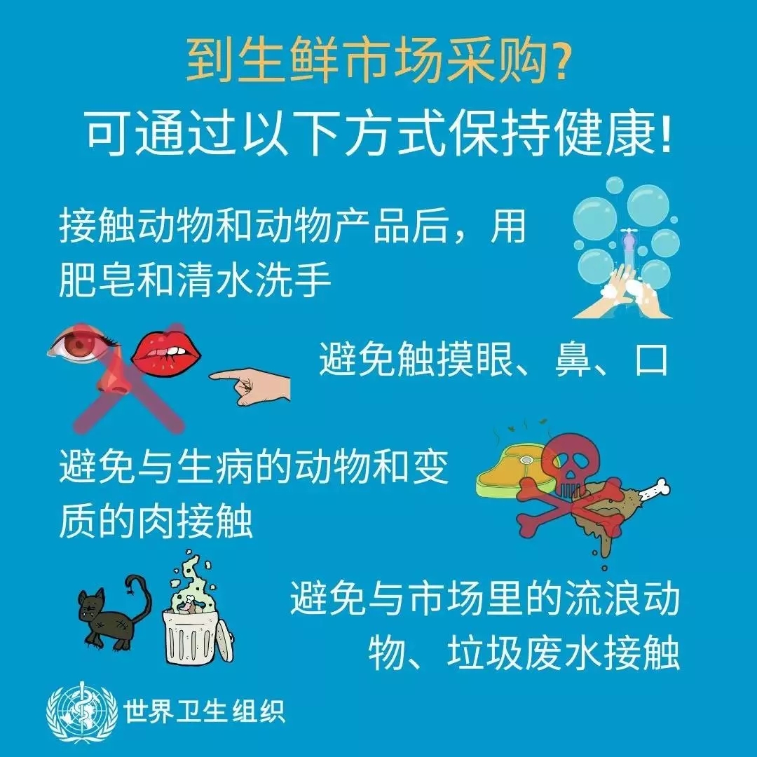 花花牛 | 共克時(shí)艱、遏制疫情，請(qǐng)相信國(guó)家力量！