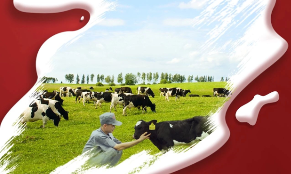 喜報(bào)！花花牛董事長關(guān)曉彥再獲”優(yōu) 秀企業(yè)家”稱號